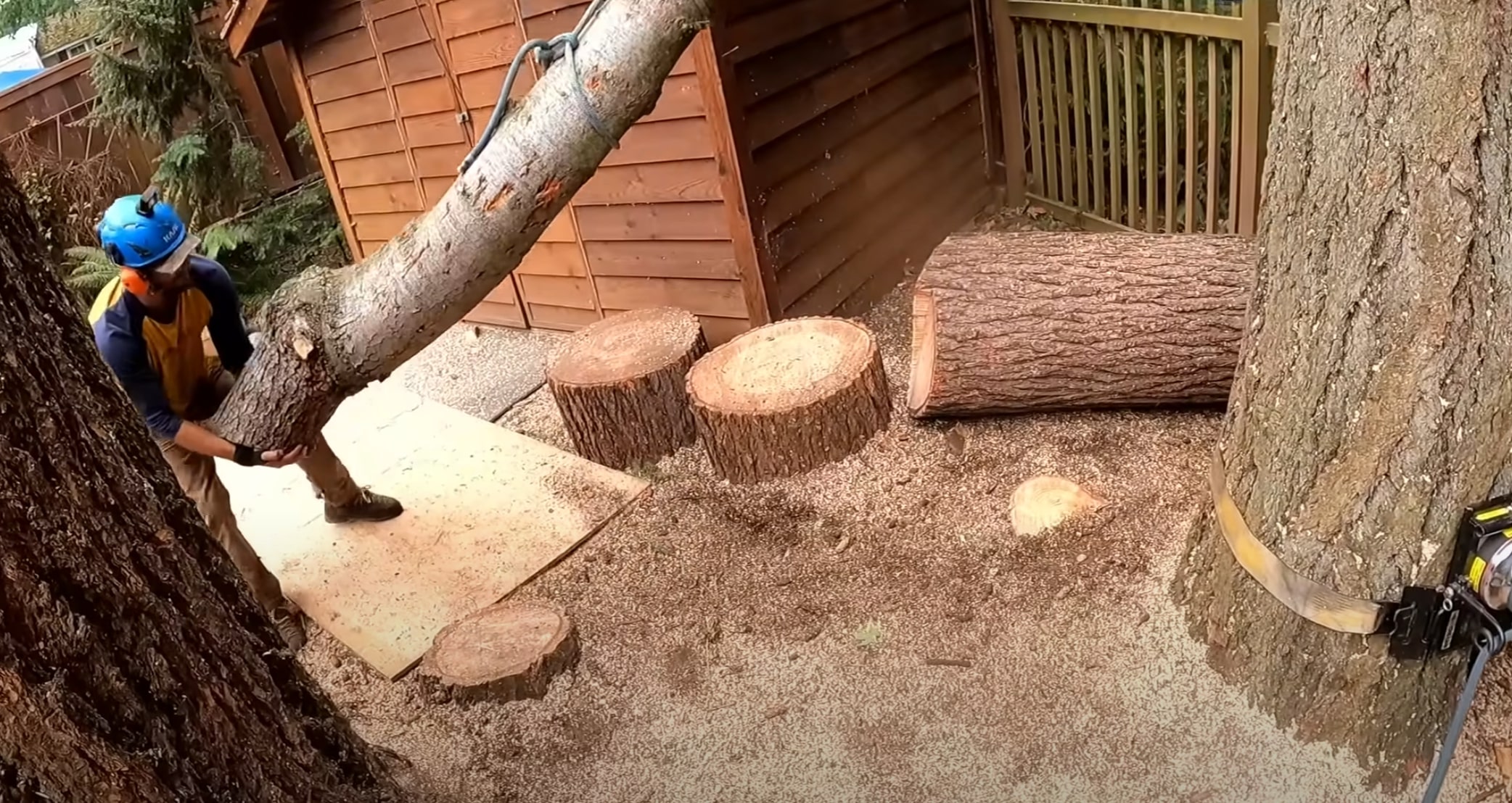 Shrub & Hedge Trimming service in Glendale, CA